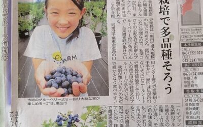 千葉日報さんの記事になりました！