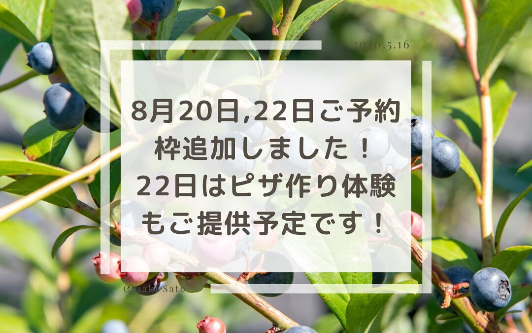 今年度の営業も残すところ8月20日（火）と22日（木）の2日