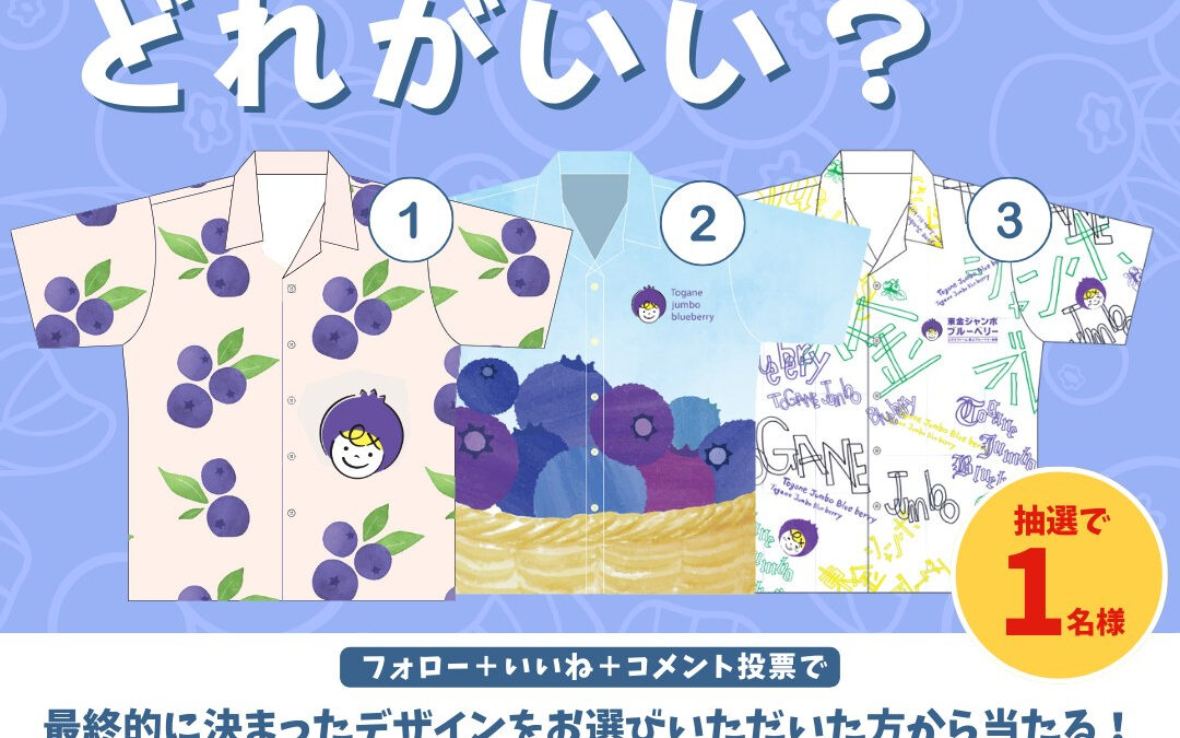 関東最大級 東金ジャンボブルーベリー
