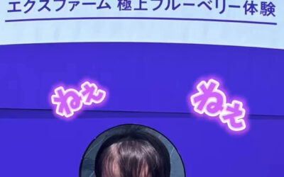 関東最大級　東金ジャンボブルーベリー
