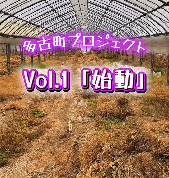 関東最大級　東金ジャンボブルーベリー