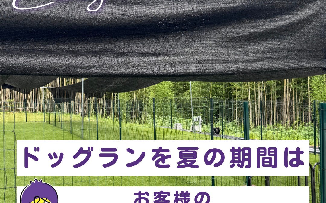 関東最大級　東金ジャンボブルーベリー