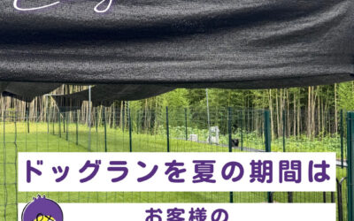 関東最大級　東金ジャンボブルーベリー