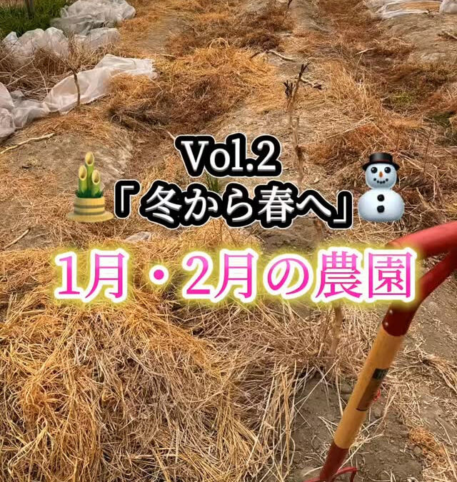 関東最大級　東金ジャンボブルーベリー