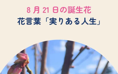 関東最大級　東金ジャンボブルーベリー