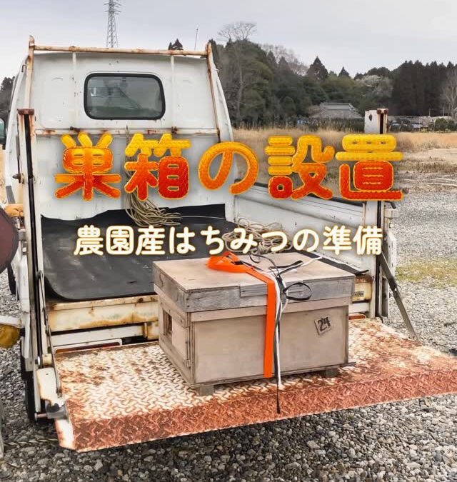 関東最大級　東金ジャンボブルーベリー