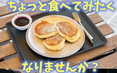 関東最大級　東金ジャンボブルーベリー