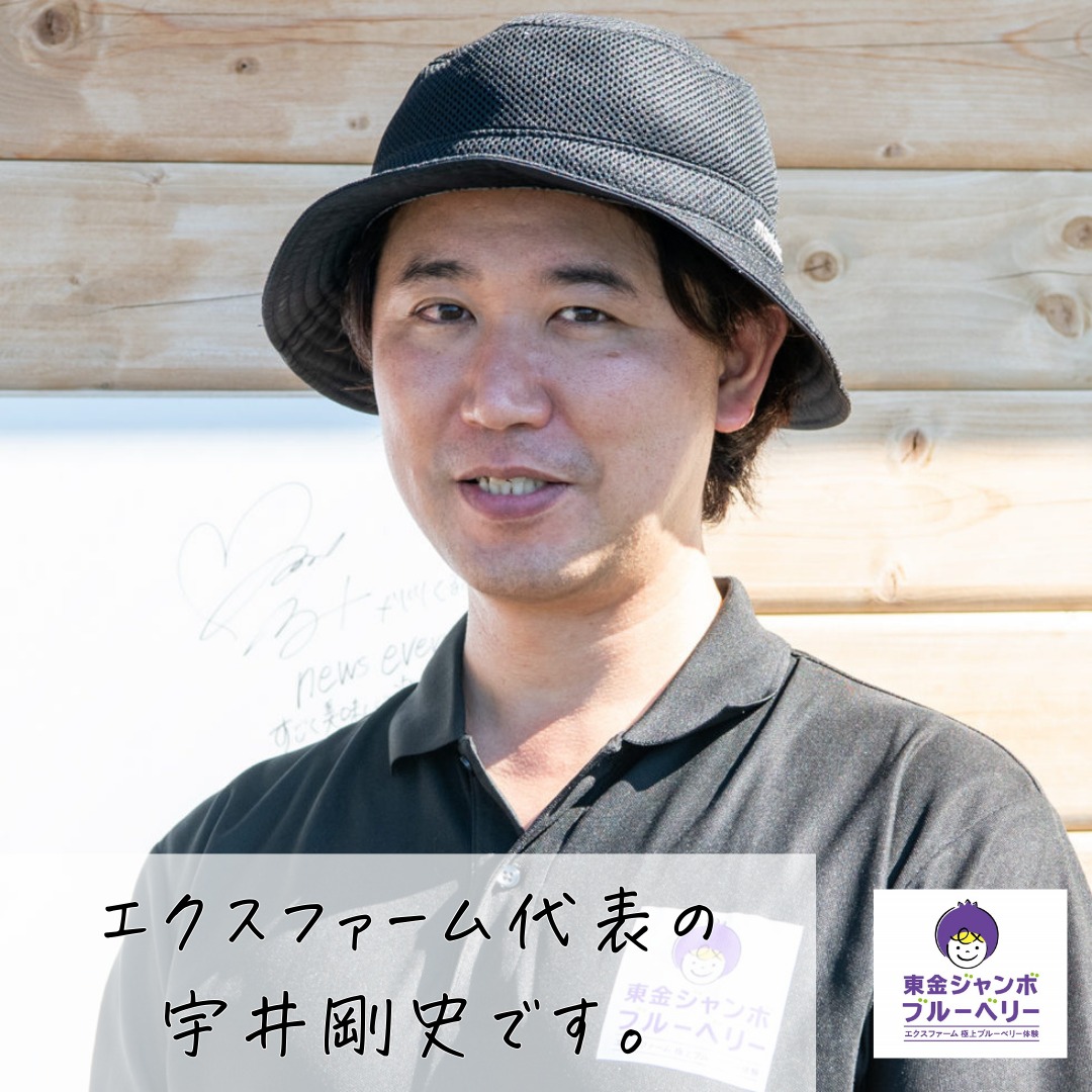 関東最大級　東金ジャンボブルーベリー