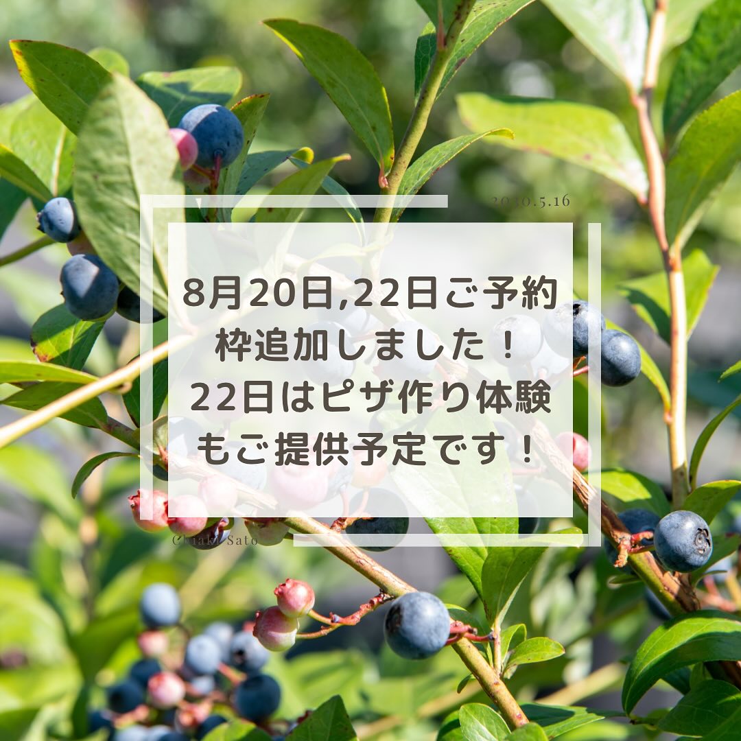 今年度の営業も残すところ8月20日（火）と22日（木）の2日