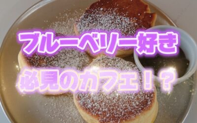 関東最大級　東金ジャンボブルーベリー