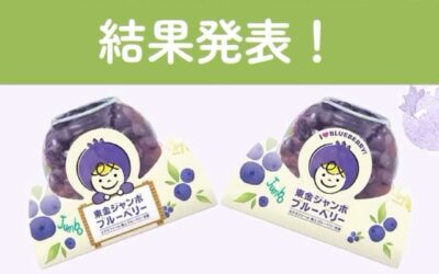 関東最大級　東金ジャンボブルーベリー