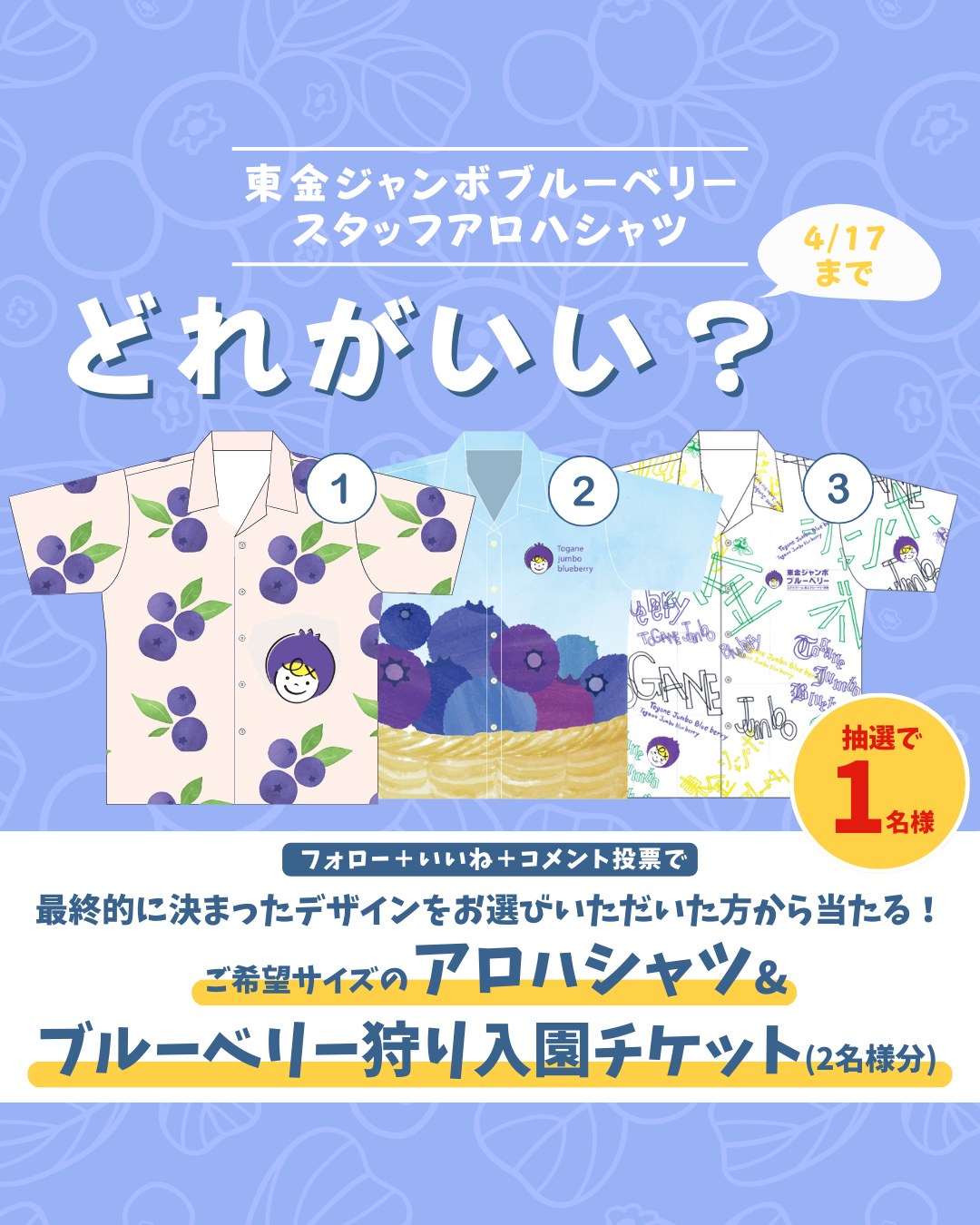 関東最大級　東金ジャンボブルーベリー