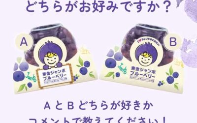 関東最大級　東金ジャンボブルーベリー