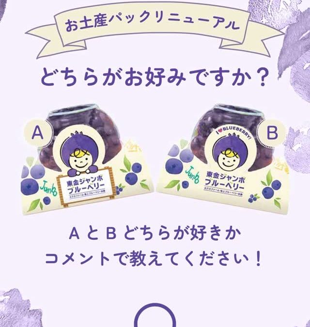 関東最大級　東金ジャンボブルーベリー