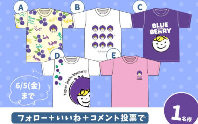 関東最大級　東金ジャンボブルーベリー