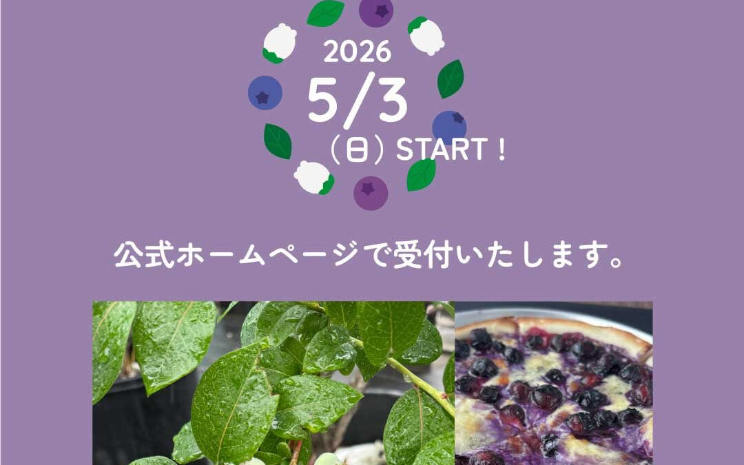 関東最大級　東金ジャンボブルーベリー