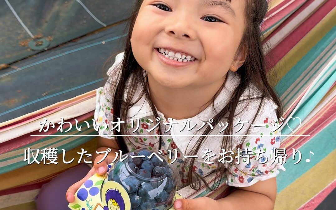 関東最大級　東金ジャンボブルーベリー