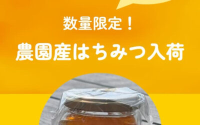 関東最大級　東金ジャンボブルーベリー