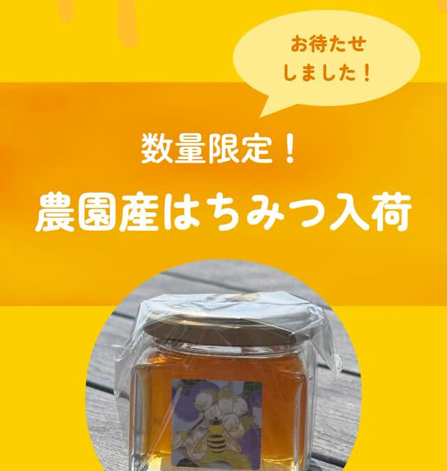 関東最大級　東金ジャンボブルーベリー