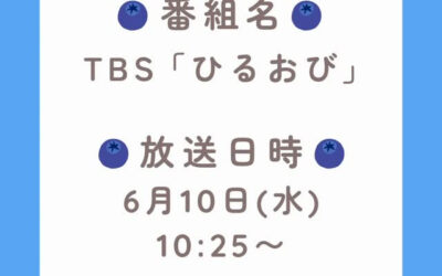 関東最大級 東金ジャンボブルーベリー