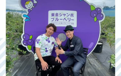関東最大級　東金ジャンボブルーベリー