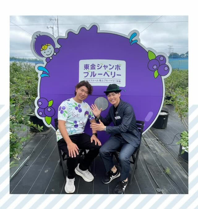 関東最大級　東金ジャンボブルーベリー