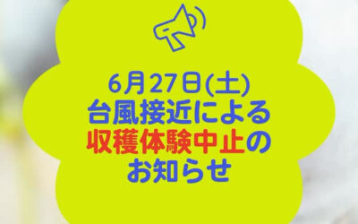 台風7号接近のため、6月27日（土）の