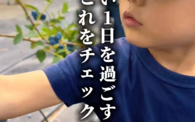 関東最大級 東金ジャンボブルーベリー