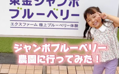 関東最大級 東金ジャンボブルーベリー